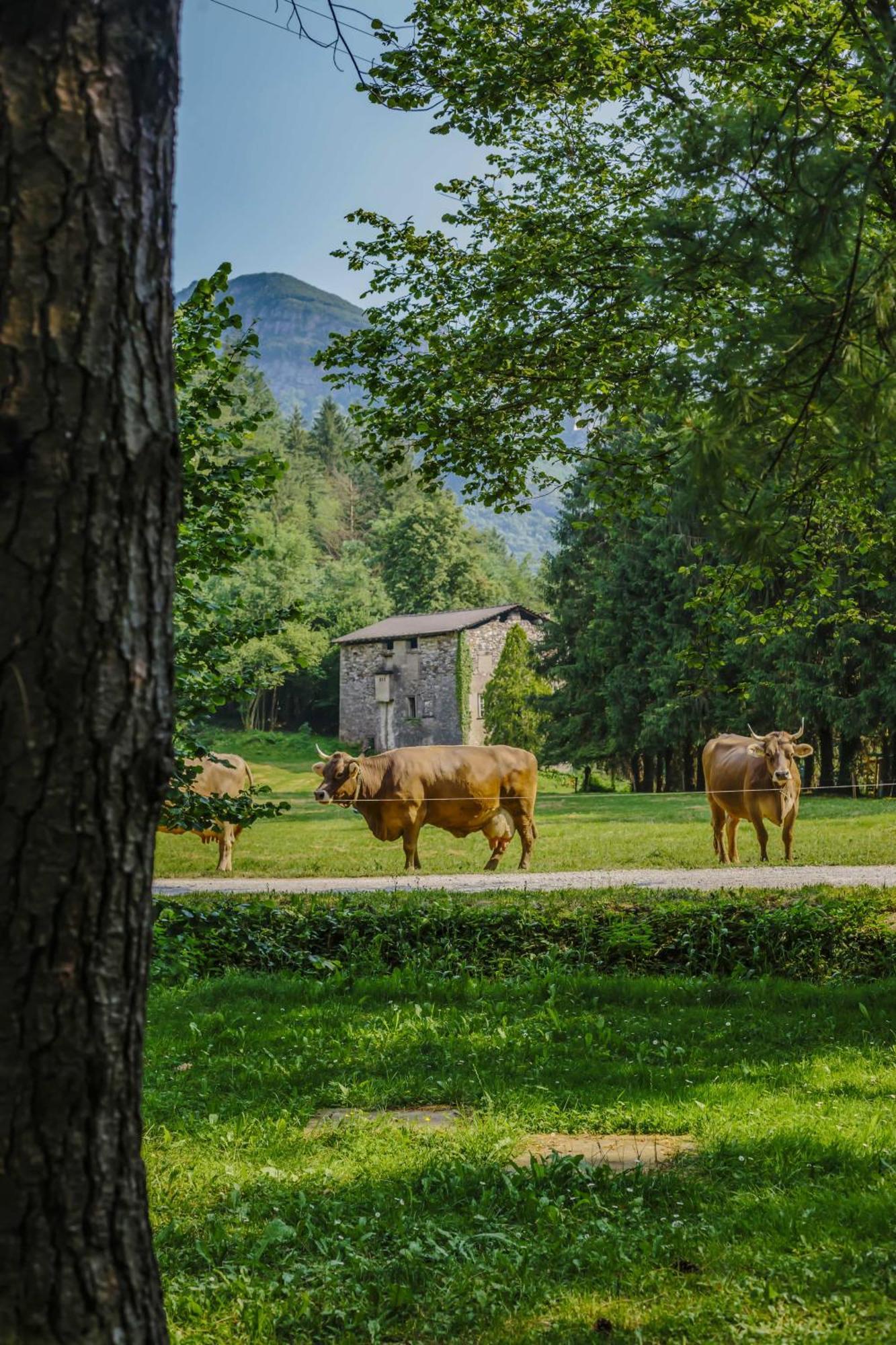 Agriturismo Ferdy Vila Lenna Exterior foto